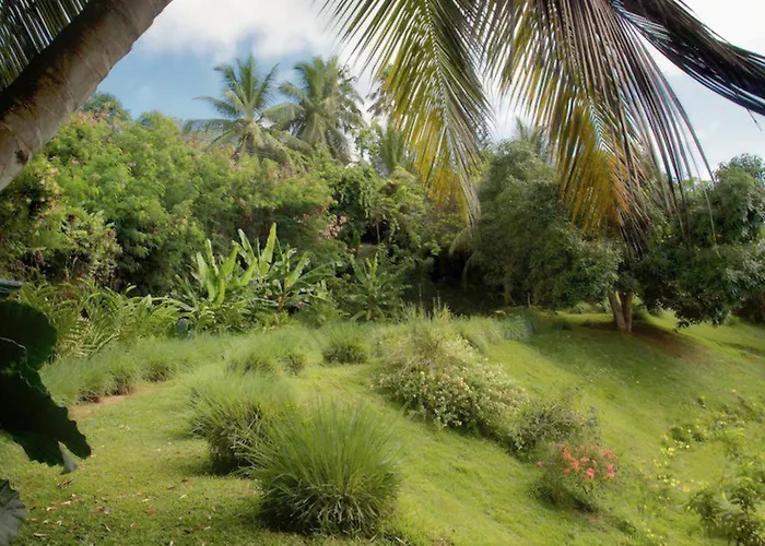 Boutique - Citronella Anse aux Pins