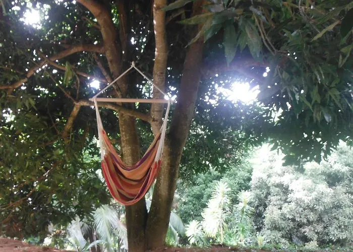 Boutique - Citronella