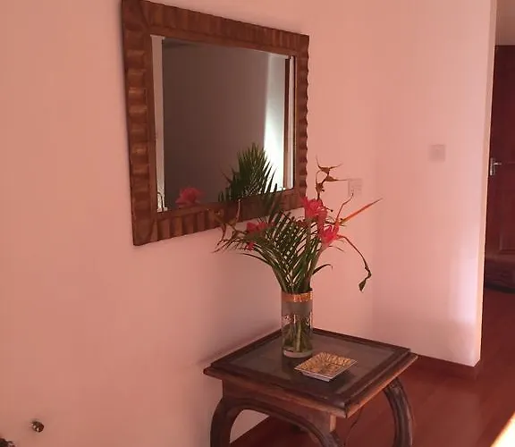 Boutique - Citronella