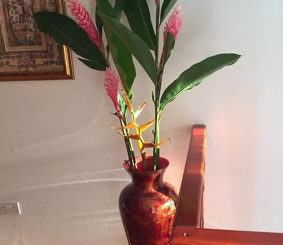 Pensjonat Boutique - Citronella Anse aux Pins