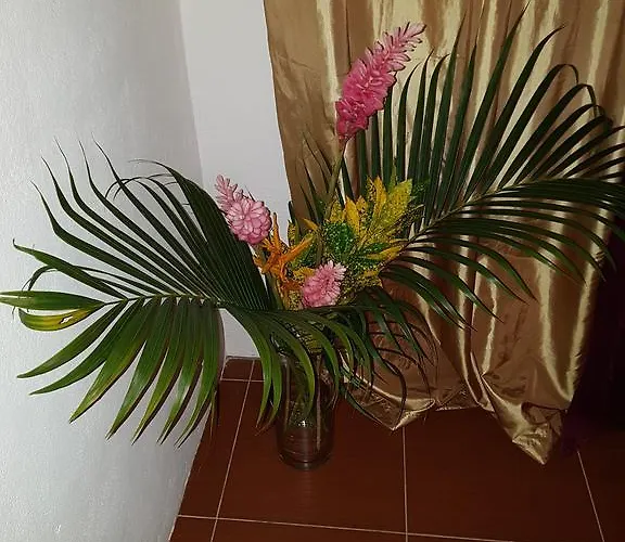 Pensjonat Boutique - Citronella