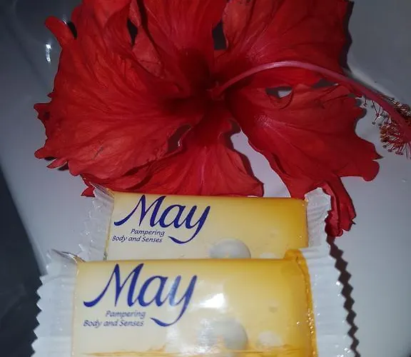 Pensjonat Boutique - Citronella Anse aux Pins